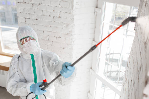 Balfour, NC Mold Removal Company