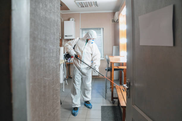 Mold Remediation for Rental Properties in Balfour, NC