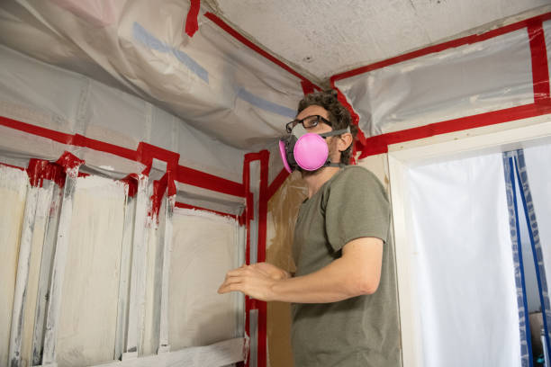 Best Indoor Air Quality Assessment  in Balfour, NC