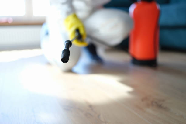 Best Mold Prevention Services  in Balfour, NC